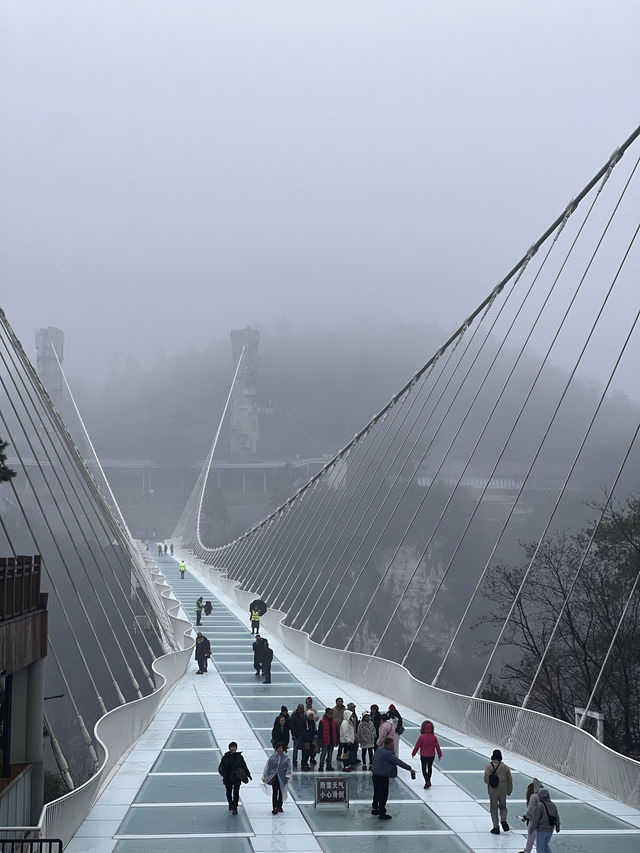 ZhangJiaJie - City of Heaven