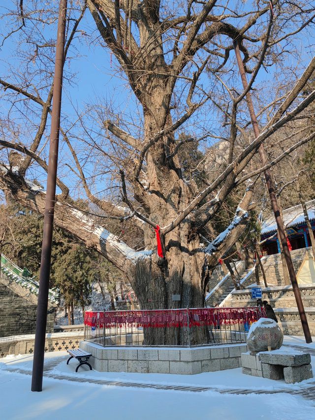 雪落仙山，佛風道骨五峰山！