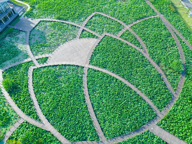 漕涌郊野公園，值得擁有