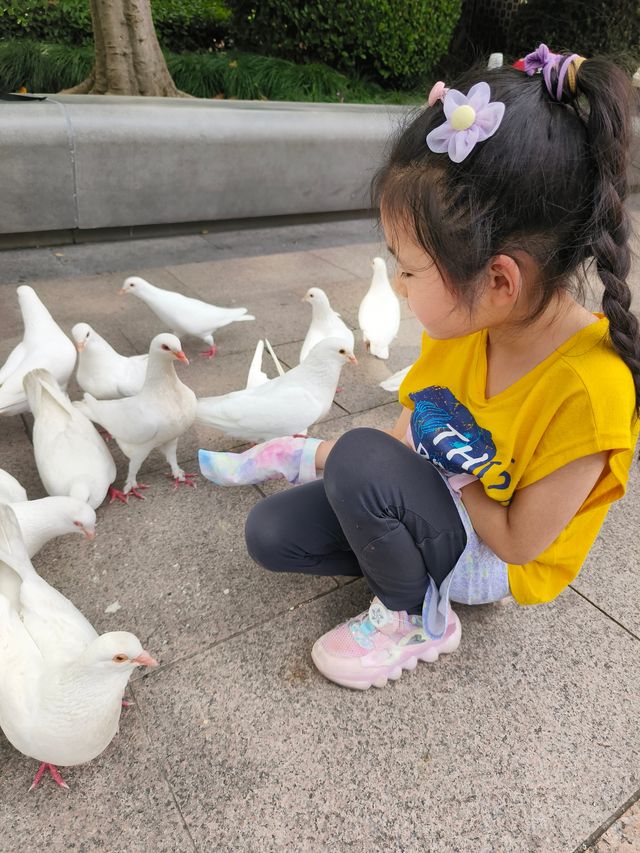 上海人民廣場｜成群的白色鴿子