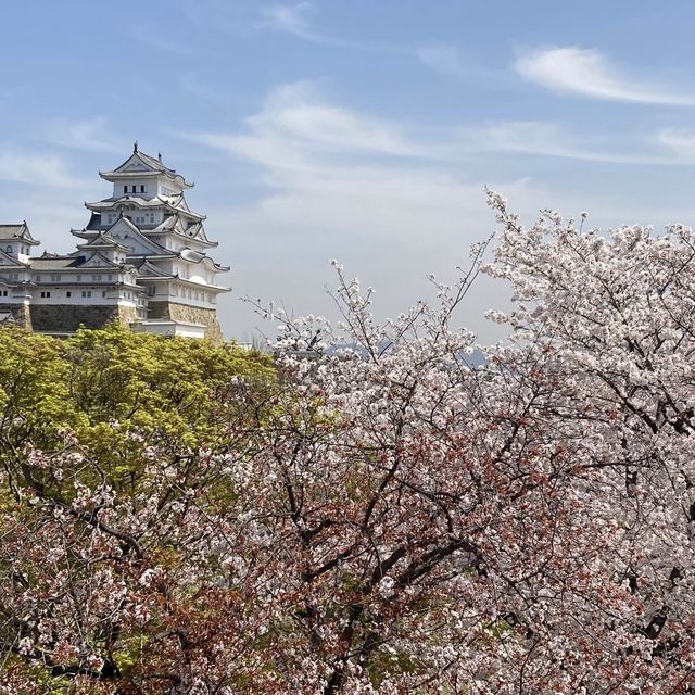 Magical Himeji castle