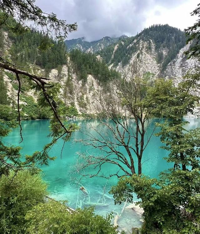 永遠對川西心動