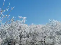 冬天的第一場雪｜我在鸬鳥山看了絕美霧凇