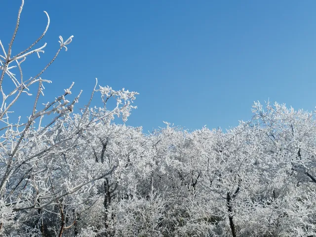 冬天的第一場雪｜我在鸬鳥山看了絕美霧凇