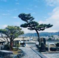 打卡日本宇治平等苑