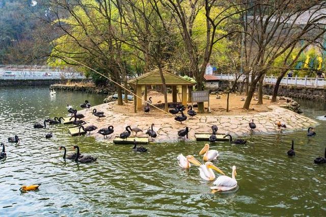 貴陽黔靈山公園 I 走進貴陽的綠色心臟，感受大自然的饋贈！