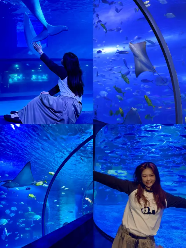 早く親友を誘って、水族館で写真を撮りに行こう