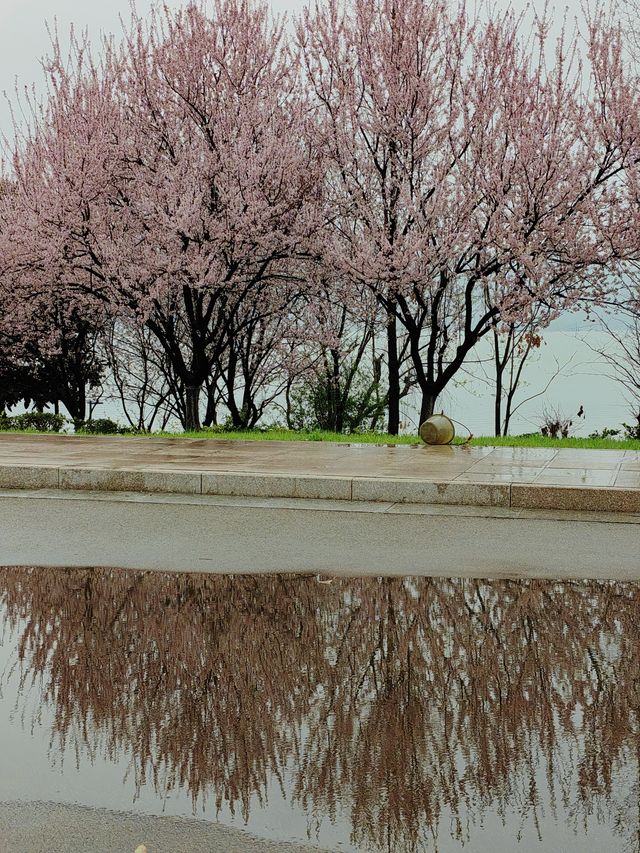 徐州滨湖公園