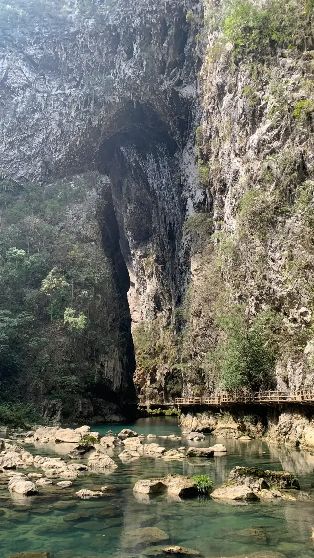 荔波小七孔（當日往返）