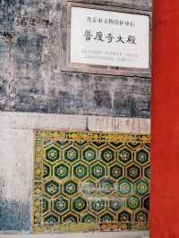 京城春日賞花攻略＆皇城根兒下免費秘境裡的玉蘭