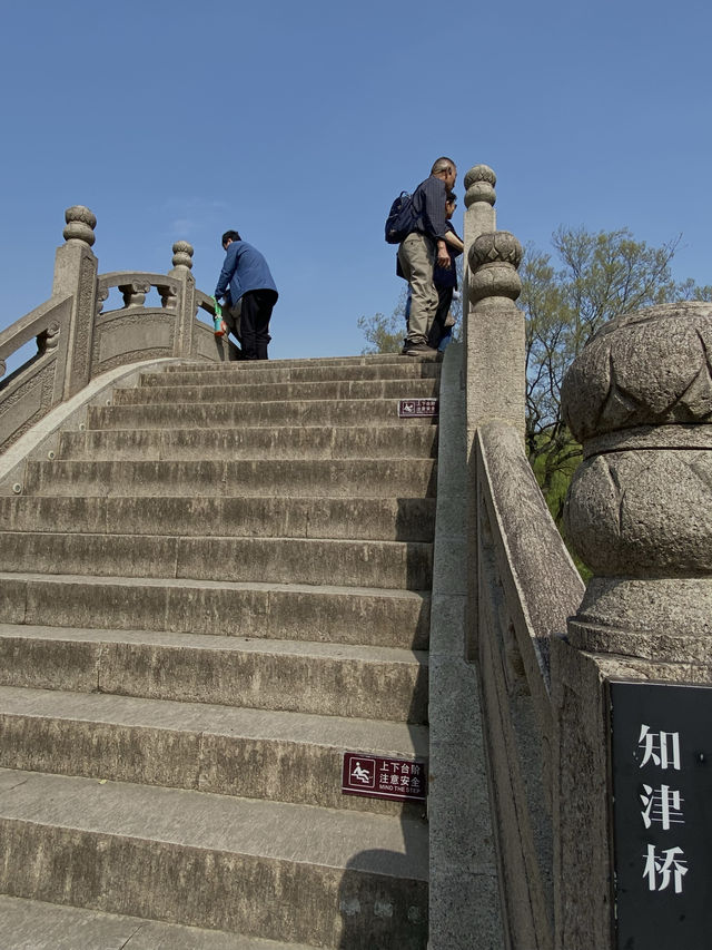 不去園林怎知春色幾許｜太倉·南園