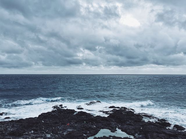 牛島 你玩得可真花啊|在孤獨的黑沙灘看油菜花