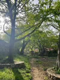 小眾隱秘古村落義河南版小江南
