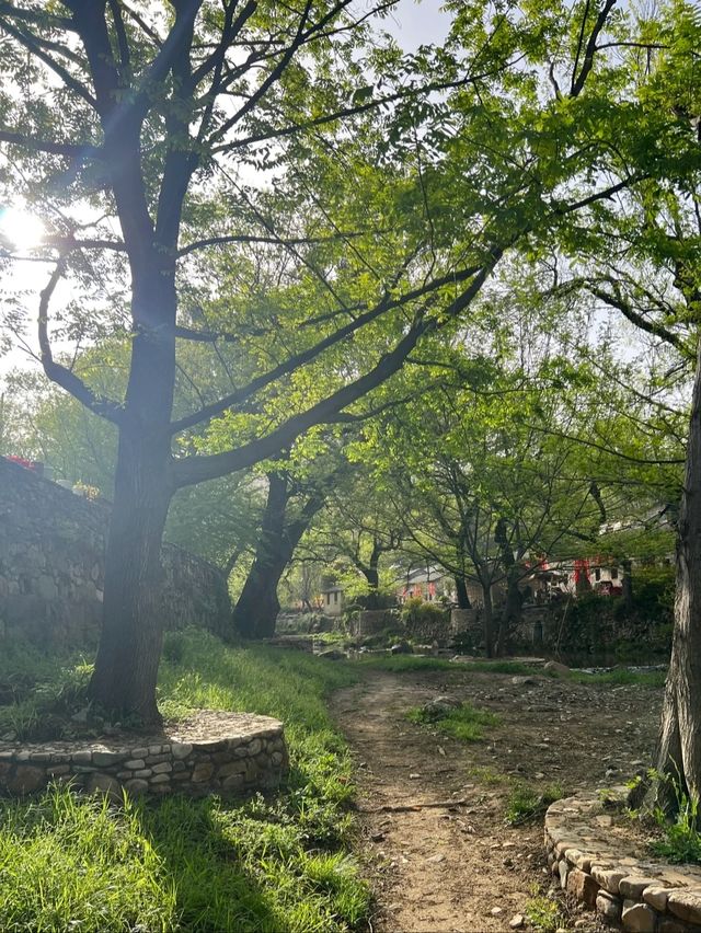 小眾隱秘古村落義河南版小江南