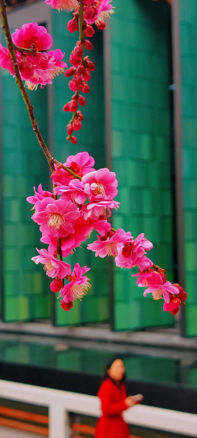 江南史院–杭州國家版本館