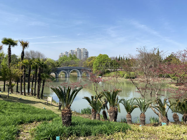 奉浦四季生態園，家門口的免費景點