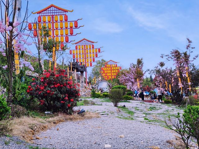 貴州畢節百里杜鹃|世界最大的天然花園 貴州畢節百里杜鹃|世界最大的天然花園