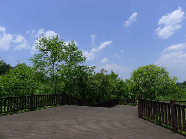 湖畔秘境——百花湖森林公園