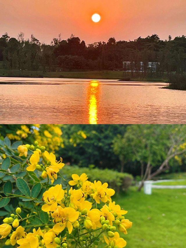 成都大草原·雙流中心公園
