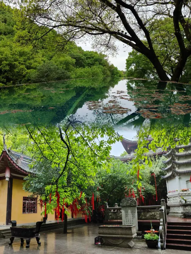 Chongqing Healing Flower Viewing Hiking Route, Nanshan Qingshui Creek Trail - Tushan Temple