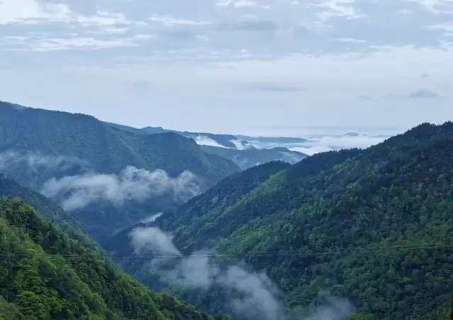 梵淨山春遊，走進地球綠洲