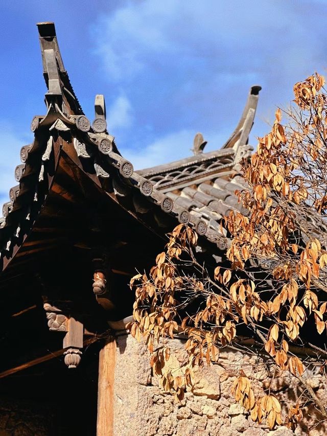 大理-麗江之行
