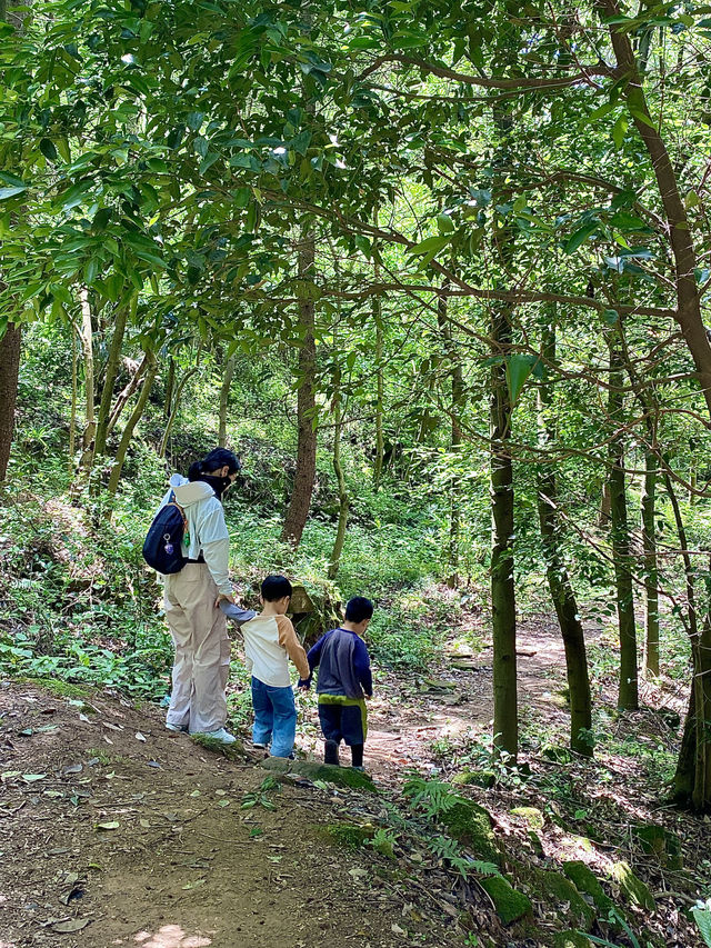 成都1h，穿越森林之門感受春和景明
