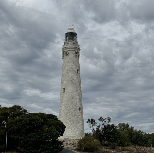 Rottnest island 