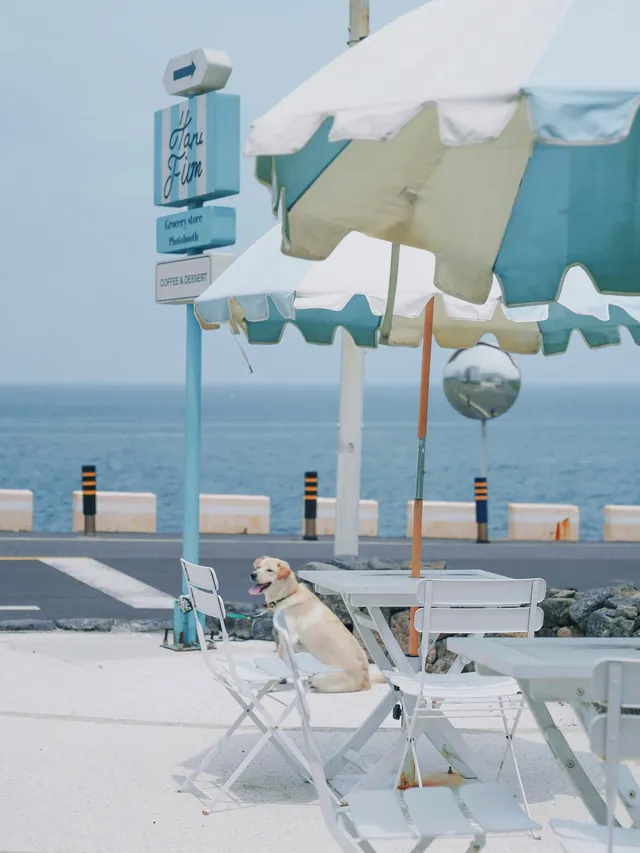 不去三亞「下餃子」，美美落地濟州島。