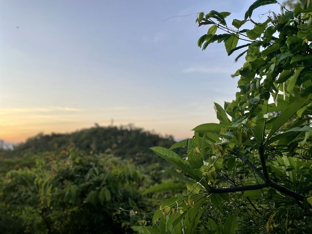 紅樹林私藏的度假秘訣，讓你一秒愛上三亞。