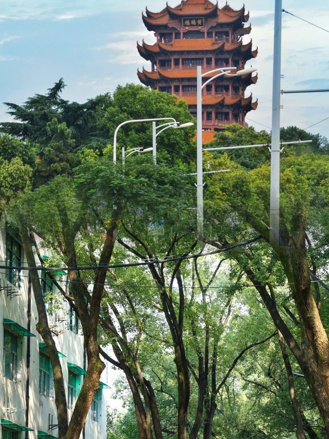 一個人逛武漢啦！這 8 條 citywalk 路線你可一定要去呀