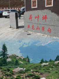 每週一山|逃離酷暑，奔向山野，忻州荷葉坪