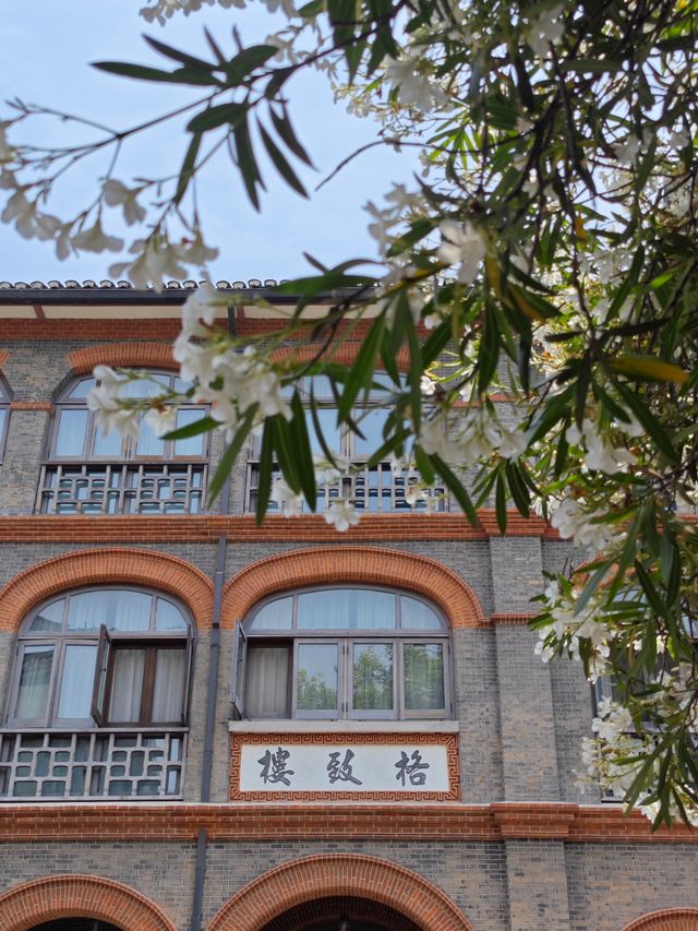校園比公園還美，華政校園你值得擁有