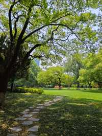 校園比公園還美，華政校園你值得擁有