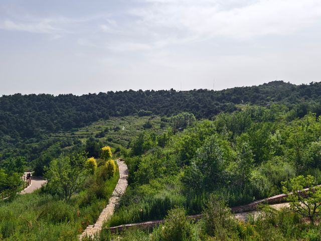 王莽嶺（山西晉城）