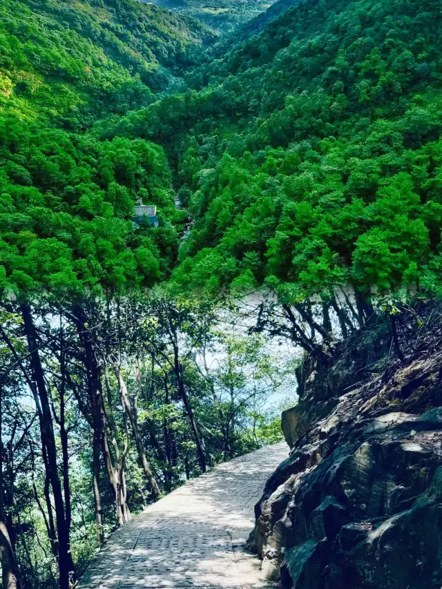 대기산 국가삼림공원 | 마음의 녹야선종
