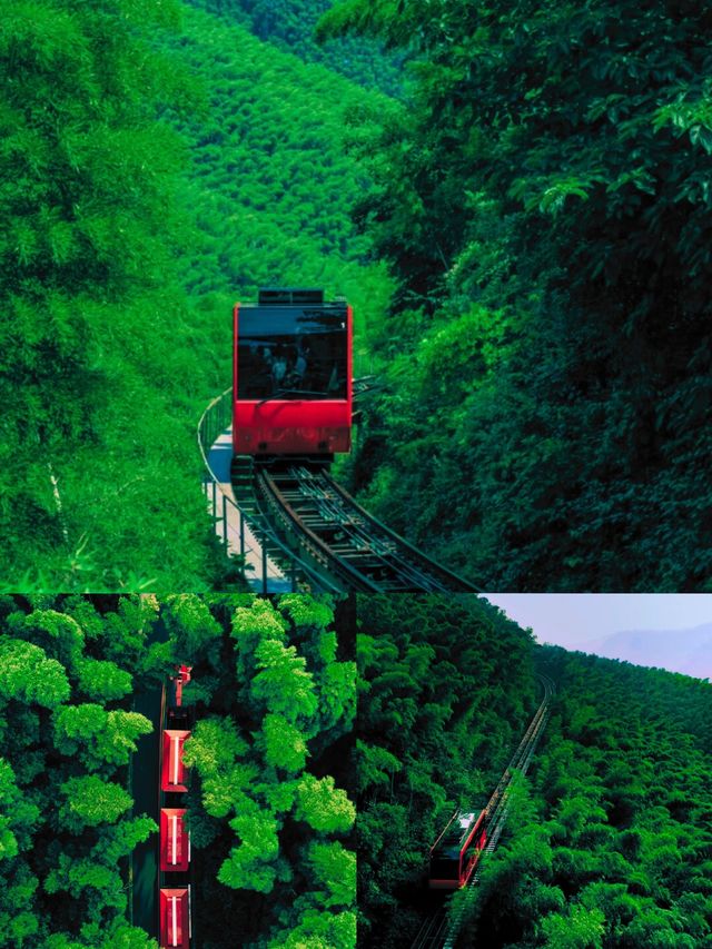 南山竹海 | 夏日避暑勝地，一個清涼宜人的綠色天堂！