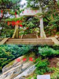 快看！沂蒙山旅遊景區這令人咋舌的一面！