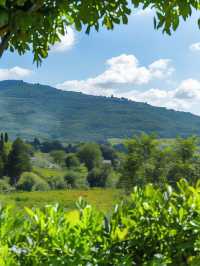 🌟 Tuscan Dreams: Top Stay at Il Falconiere Relais & Spa 🌟