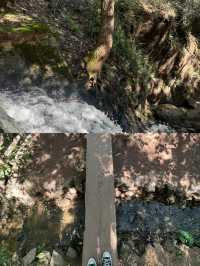 徐州周邊遊:逃離城市森林氧吧