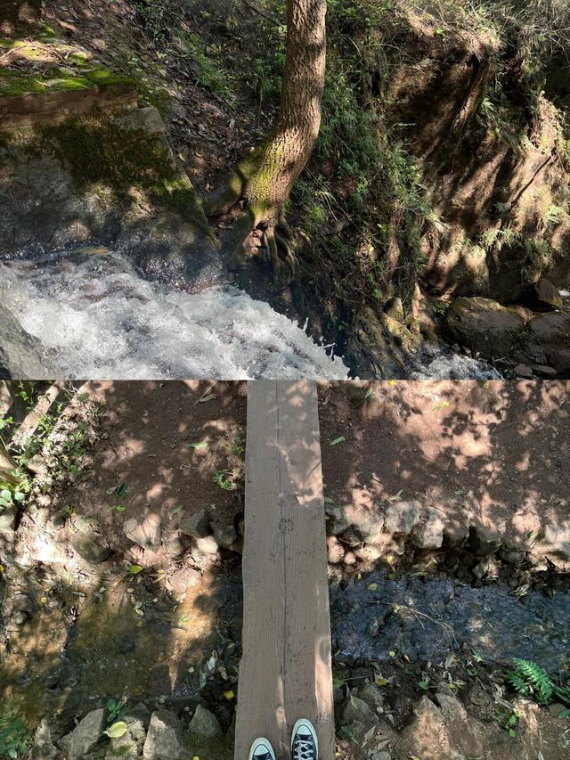 徐州周邊遊:逃離城市森林氧吧 徐州周邊遊:逃離城市森林氧吧