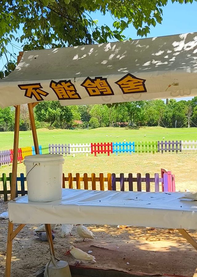 蘭湖是個度假遊玩的好去處
