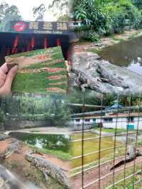 佛山三水森林公園｜免費感受天然氧吧