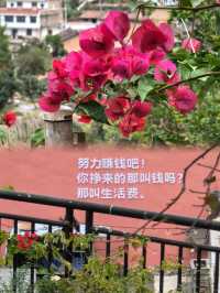 莆田|仙游～大蜚山我的最愛！