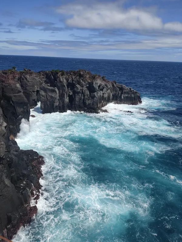 伊豆！被嚴重低估的東京周邊小城一日遊攻略🌊🏞️