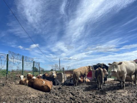 國保打卡：梳妝樓元墓（國五）& 小宏城遺址（國六）