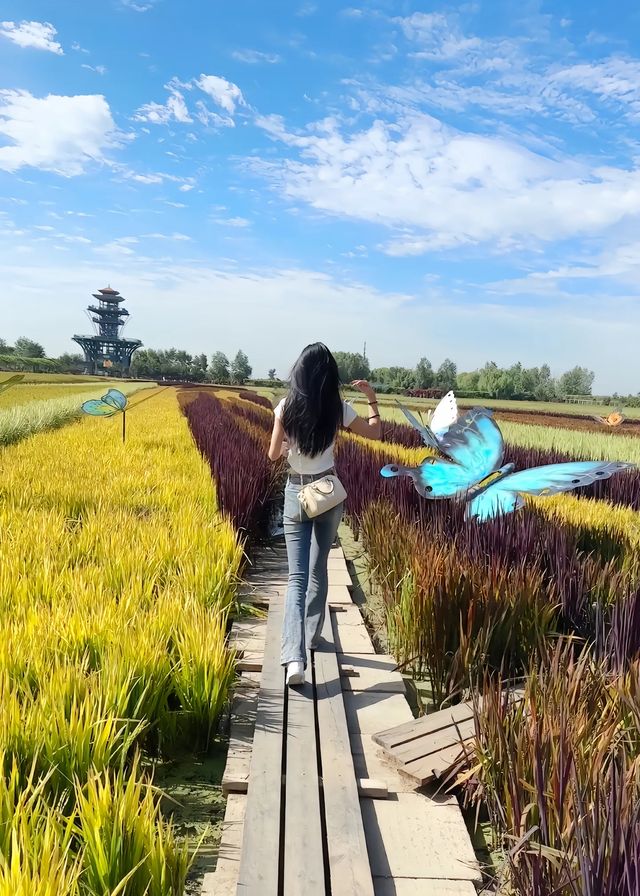 沈陽的稻夢空間。