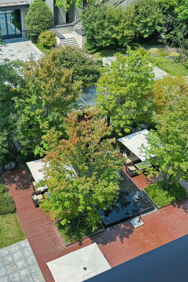 成都|住在公園裡的酒店誰懂啊!!。