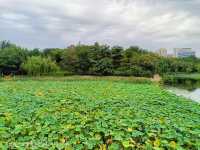 競秀公園。
