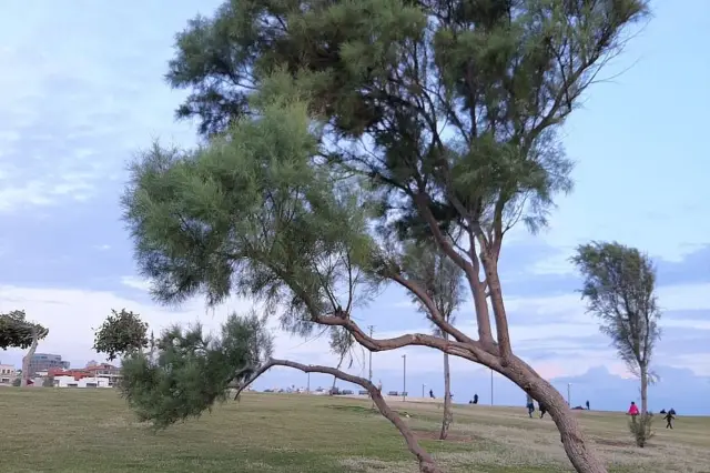 地中海の輝く真珠、あなたを待っています。